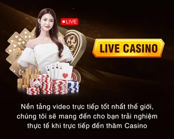 Chương trình VIP và ưu đãi